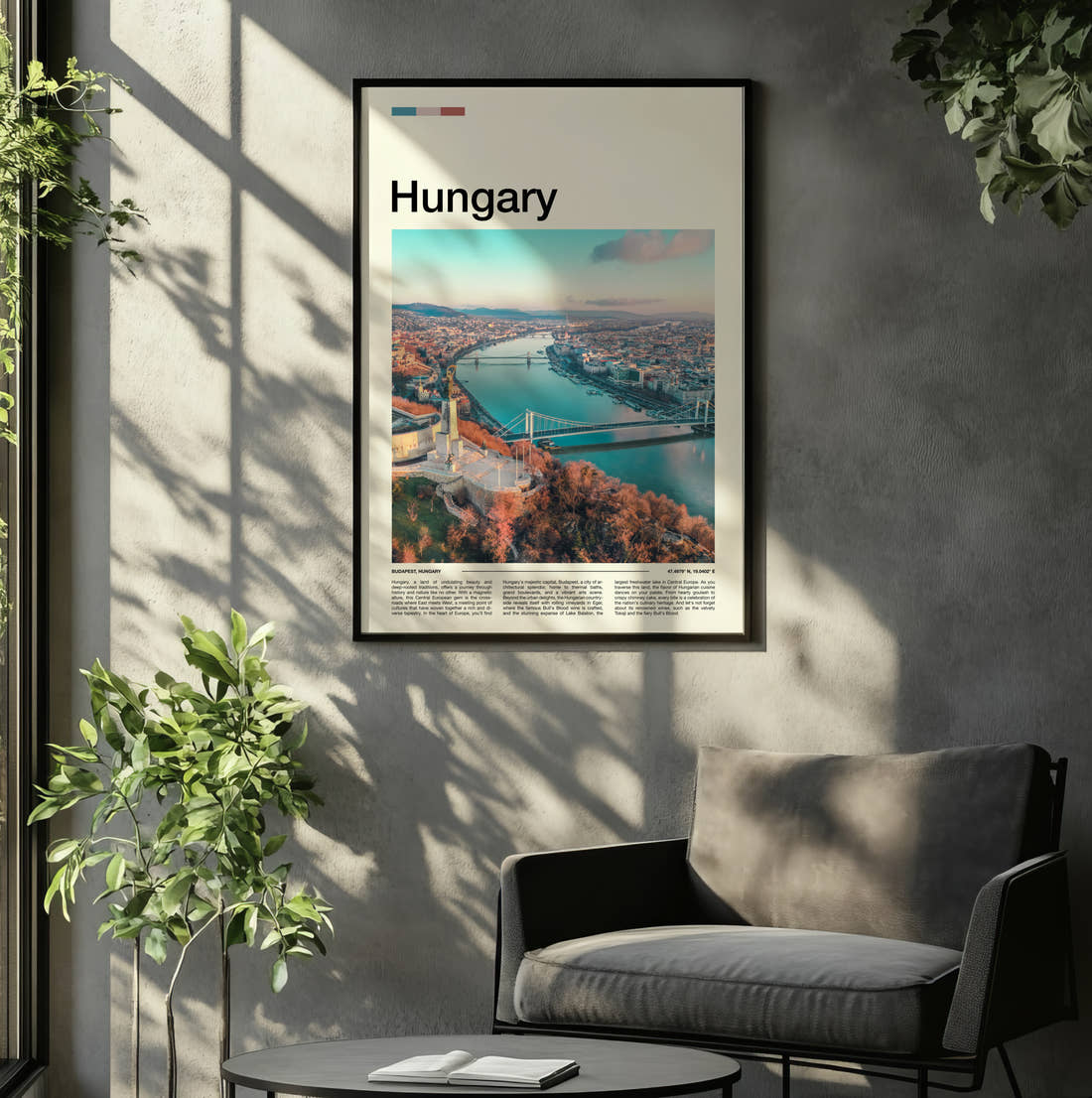 Hungary Danube From Above Travel Print framed on the wall of a relaxed living room