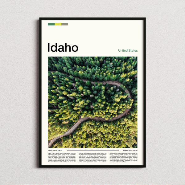 Idaho - Winding Road Through Forest - Travel Print