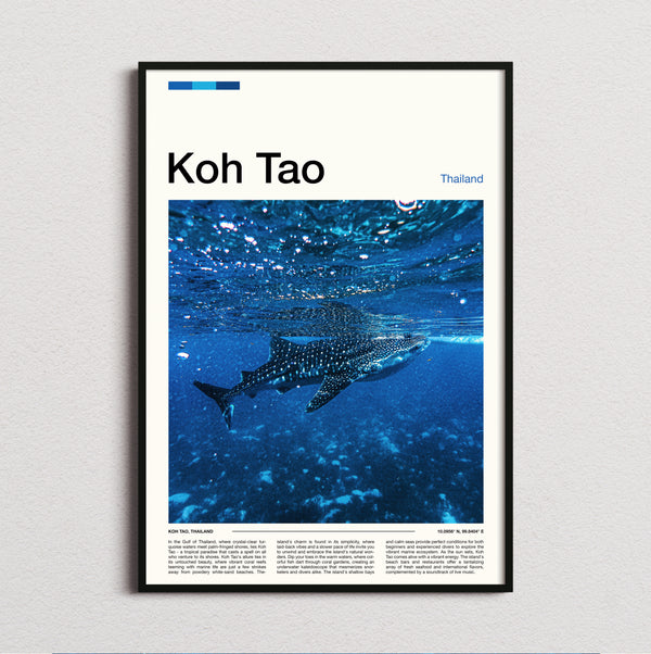 Koh Tao - Whale Shark Near The Surface - Travel Print