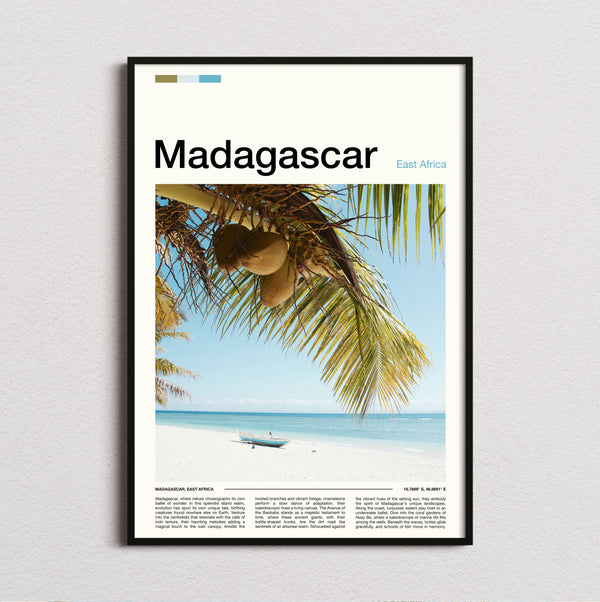 Madagascar - Coconuts On Palm Tree - Travel Print