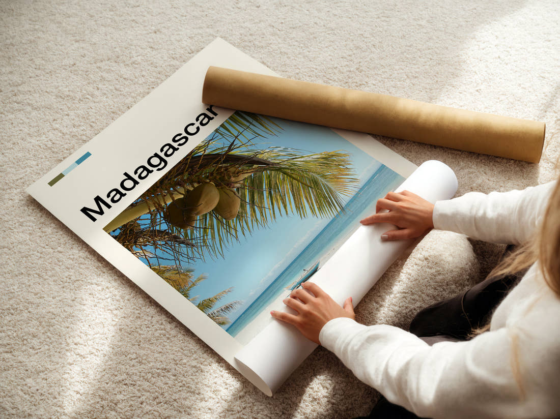 Madagascar Coconuts On Palm Tree Travel Print being unrolled from its postal tube