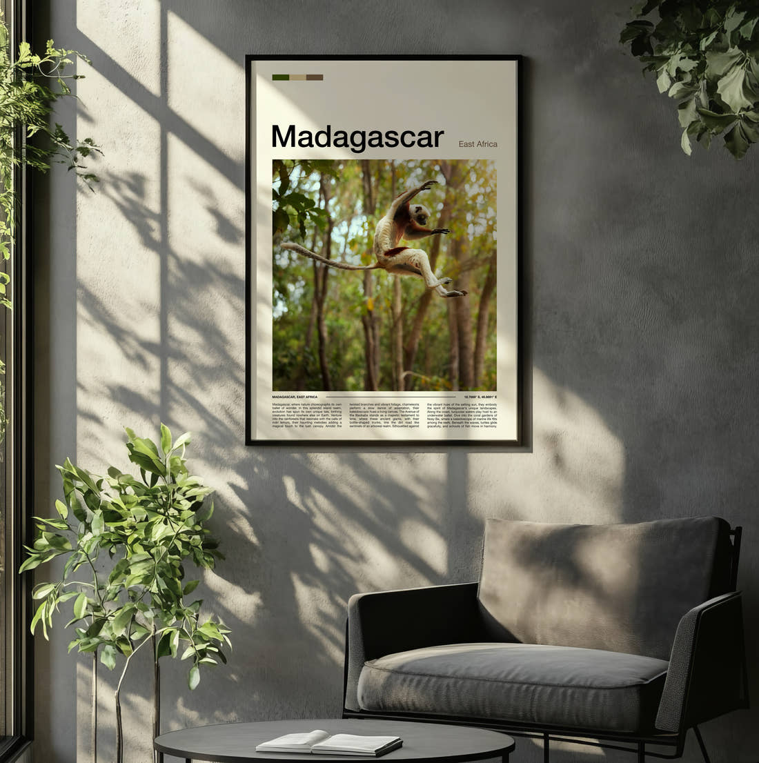 Madagascar Leaping Lemur Travel Print framed on the wall of a relaxed living room
