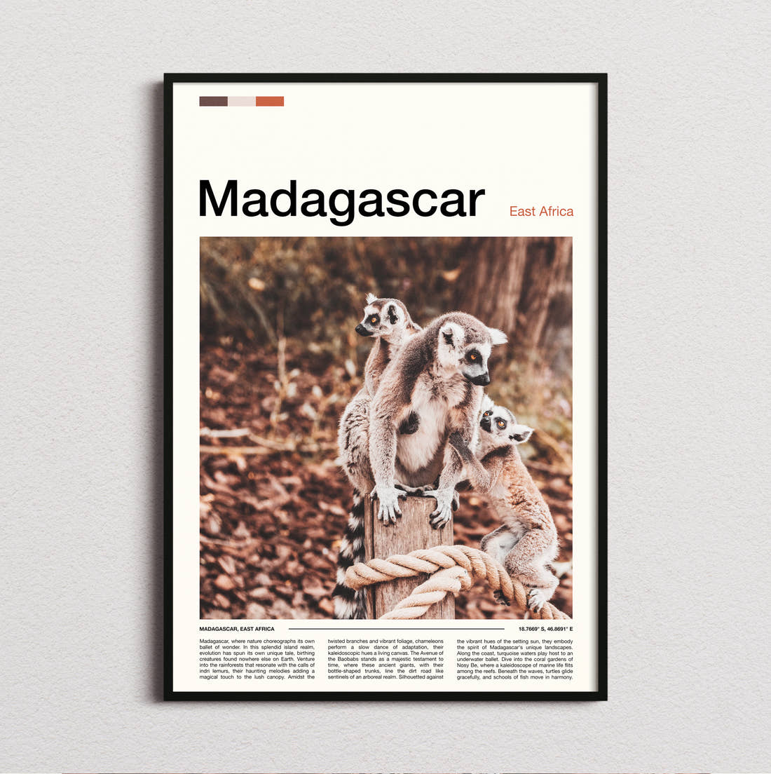 Madagascar Ring-Tailed Lemurs Travel Print framed and photographed straight on
