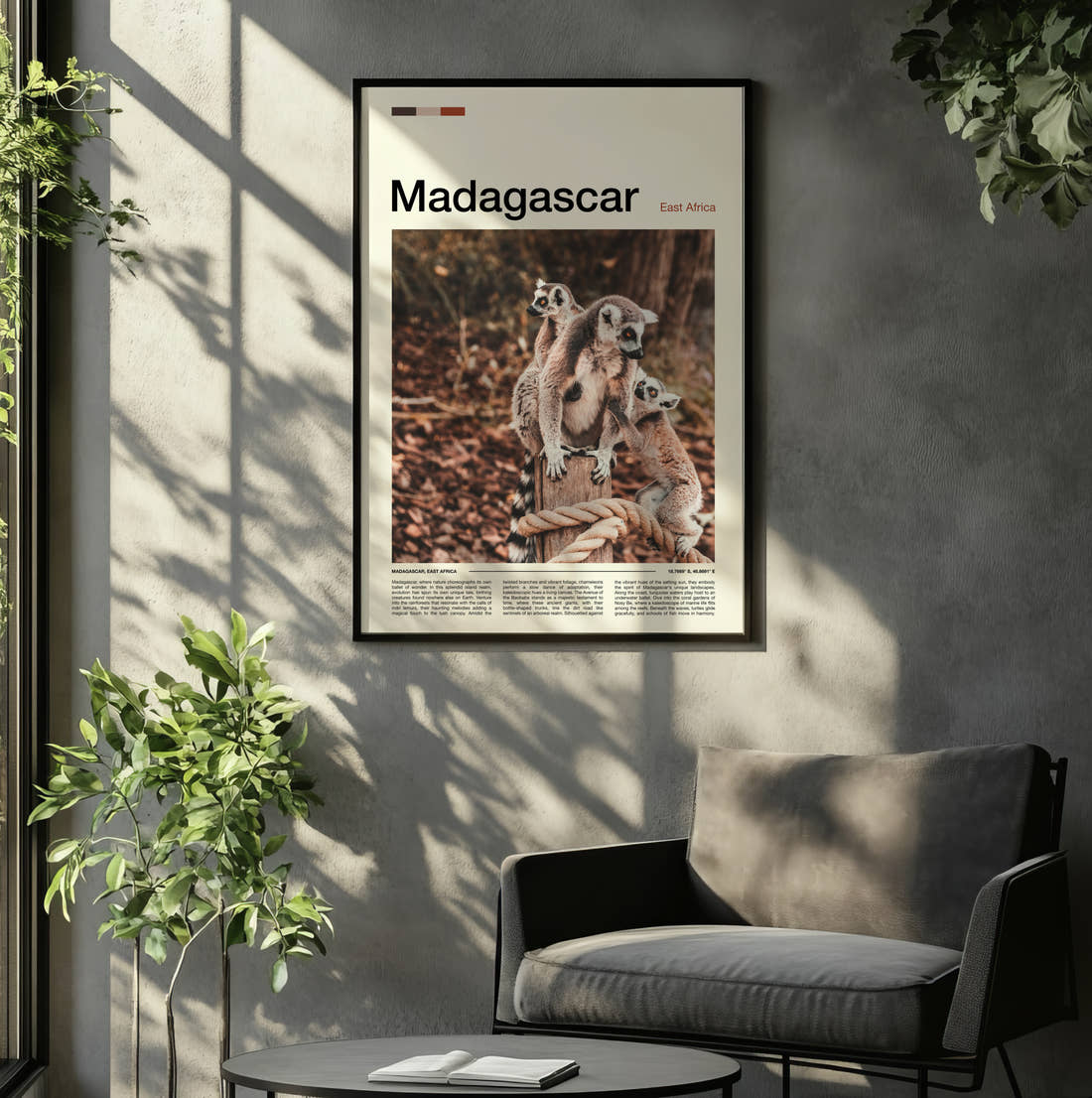 Madagascar Ring-Tailed Lemurs Travel Print framed on the wall of a relaxed living room