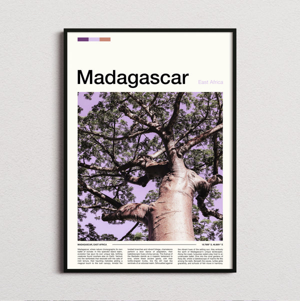Madagascar - Baobab Tree From Below - Travel Print
