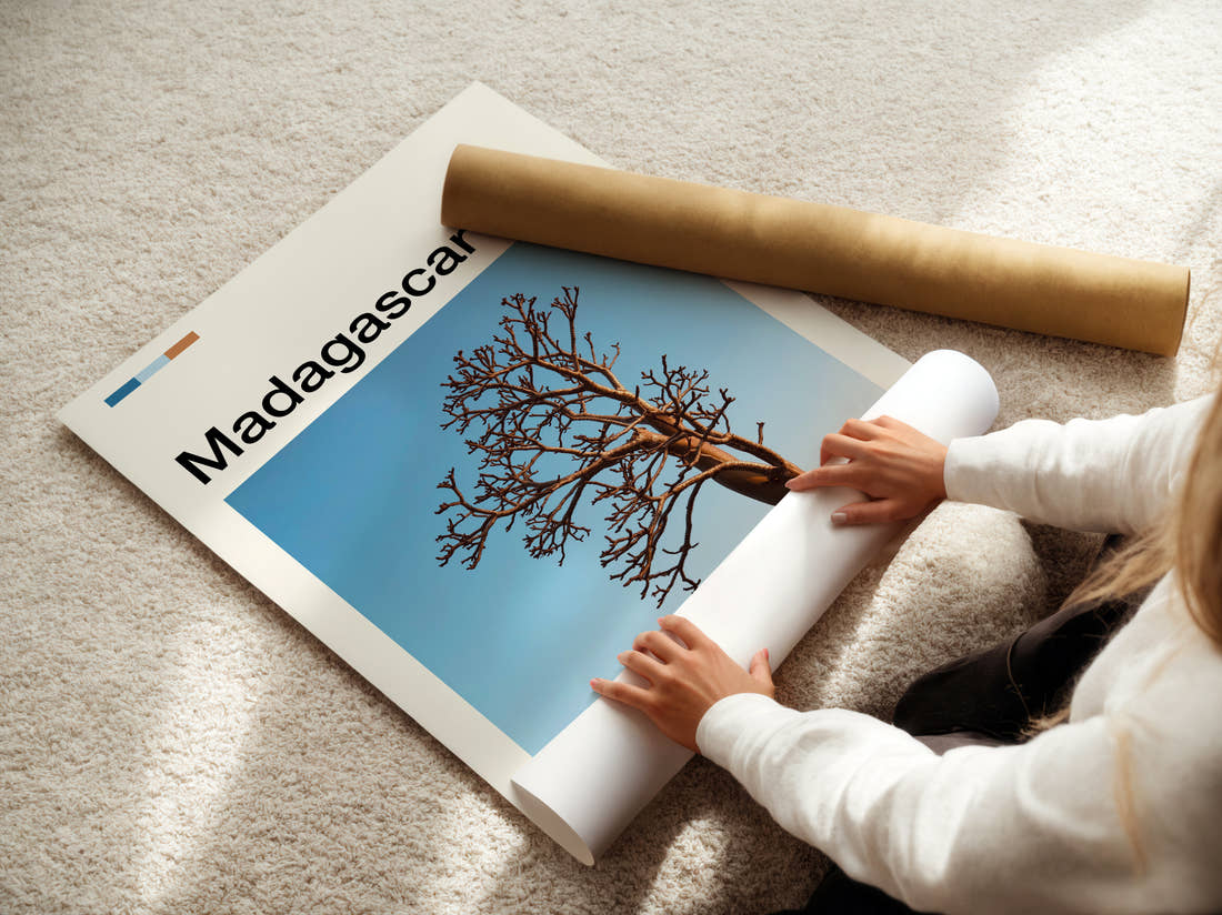 Madagascar Lone Bare Tree Travel Print being unrolled from its postal tube