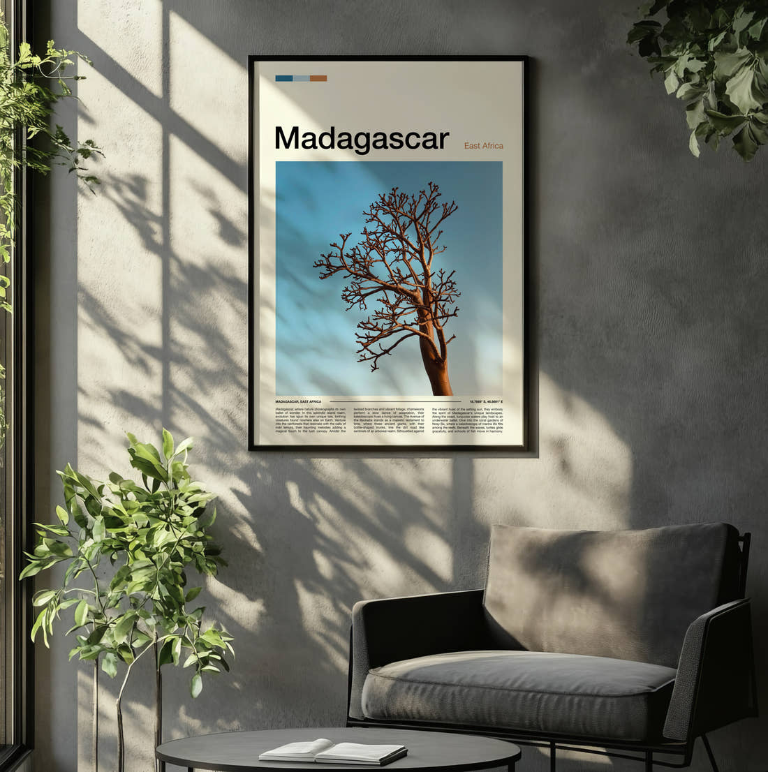 Madagascar Lone Bare Tree Travel Print framed on the wall of a relaxed living room