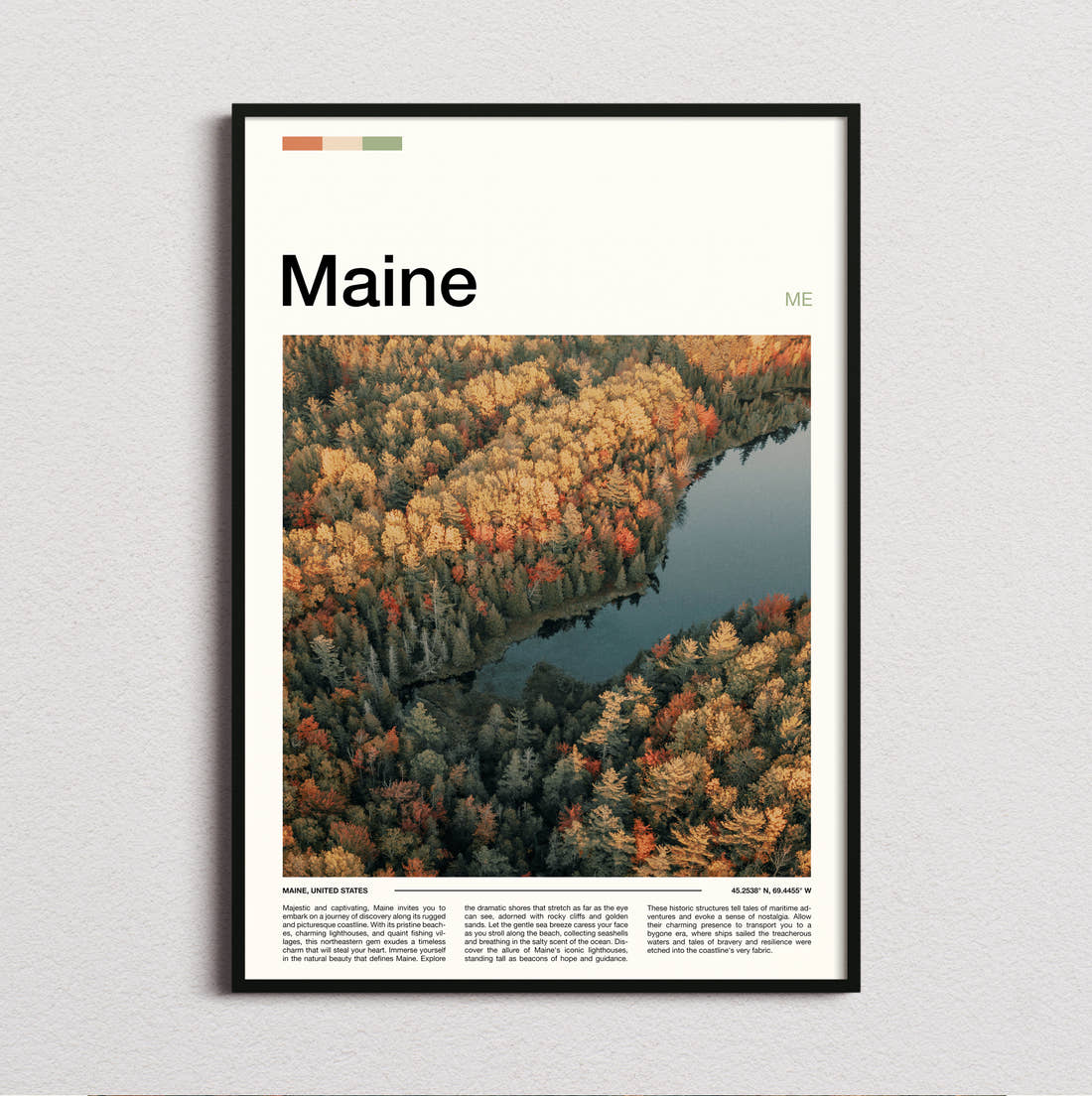 Maine Autumn Forest From Above Travel Print framed and photographed straight on