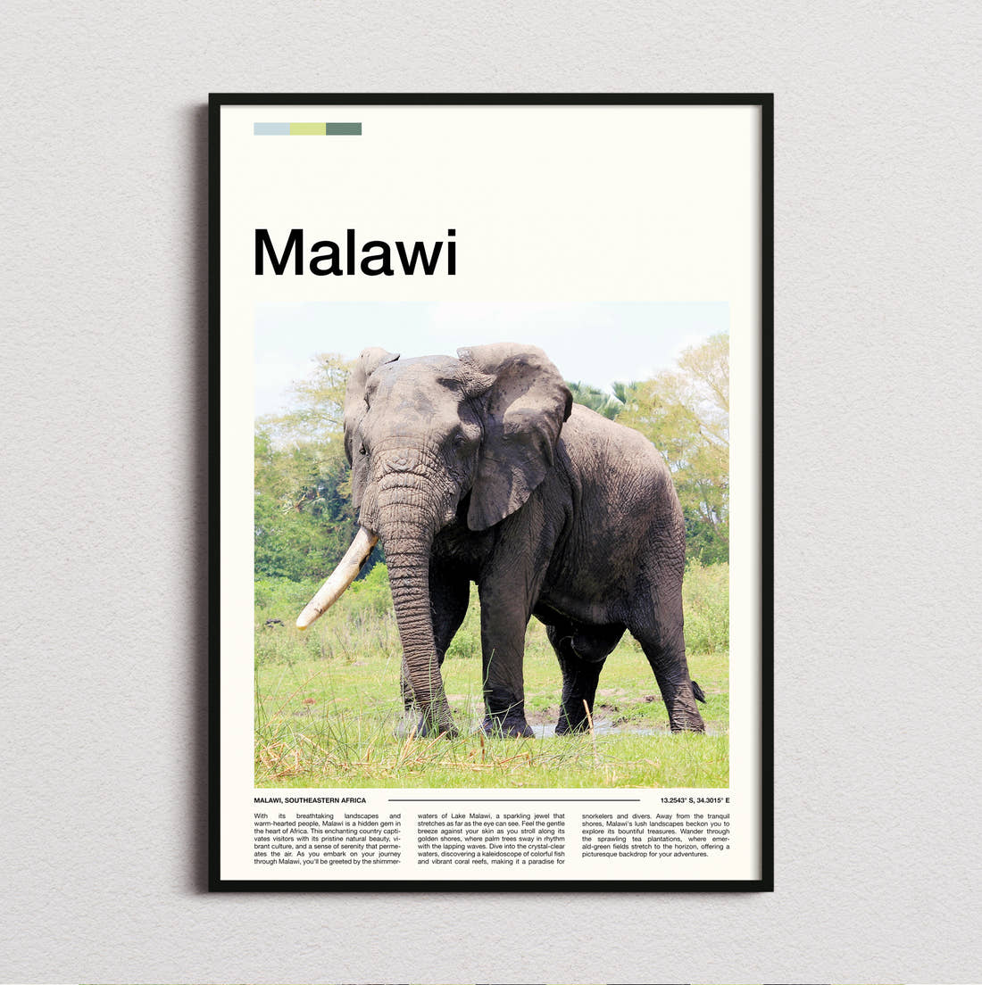 Malawi Elephant Travel Print framed and photographed straight on
