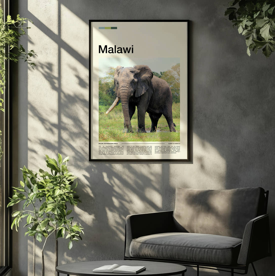 Malawi Elephant Travel Print framed on the wall of a relaxed living room
