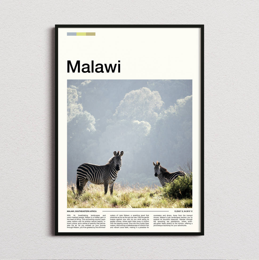 Malawi Zebras Travel Print framed and photographed straight on