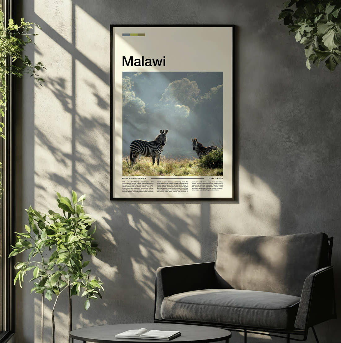 Malawi Zebras Travel Print framed on the wall of a relaxed living room