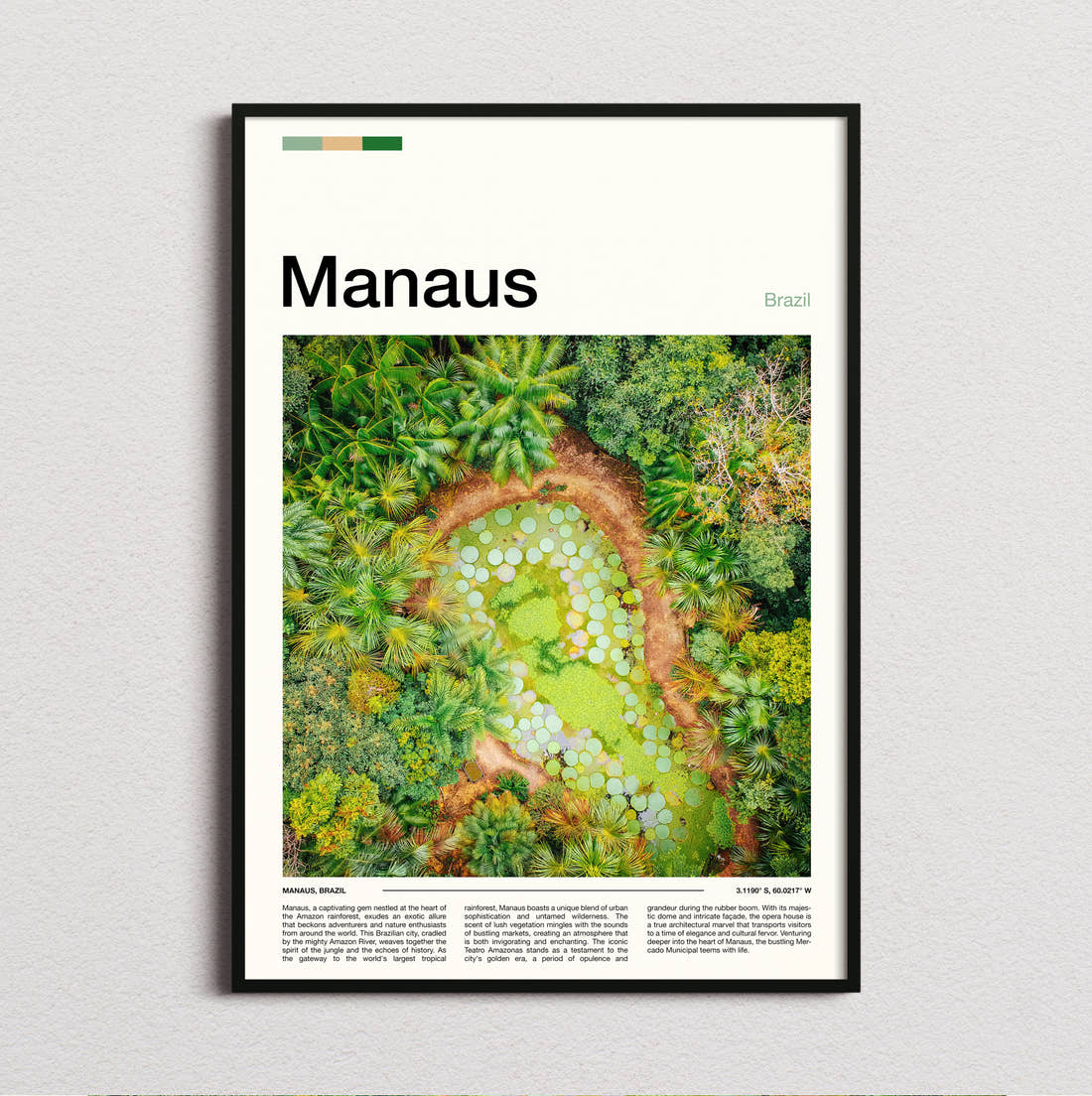 Manaus Aerial View Of Gardens Travel Print framed and photographed straight on