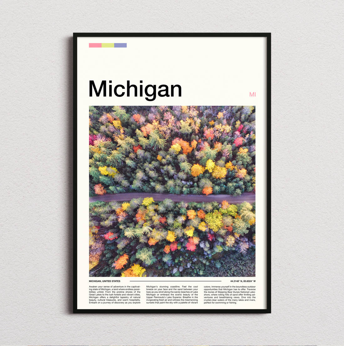 Michigan Aerial Autumn Forest Travel Print framed and photographed straight on