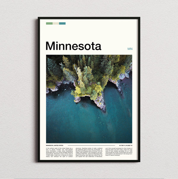 Minnesota - Aerial Forested Shoreline - Travel Print