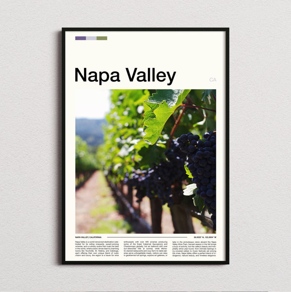 Napa Valley - Grapes On The Vine - Travel Print