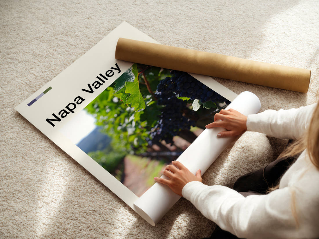 Napa Valley Grapes On The Vine Travel Print being unrolled from its postal tube