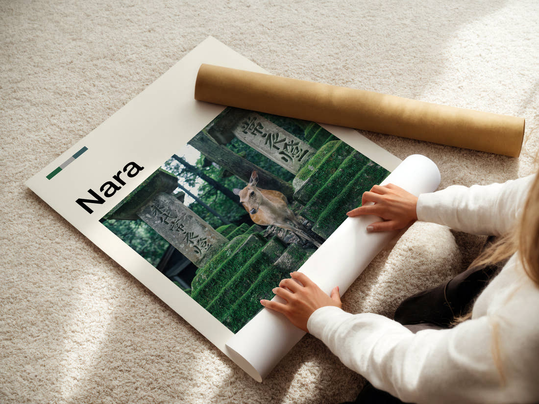 Nara Deer And Stone Lanterns Travel Print being unrolled from its postal tube