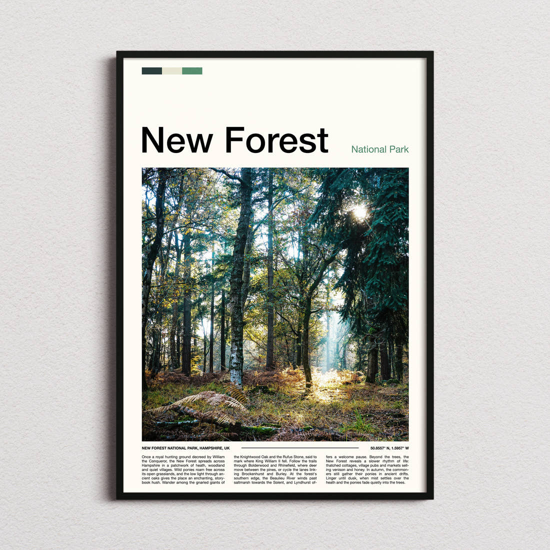 New Forest Sunlit Woodland Glade Travel Print framed and photographed straight on