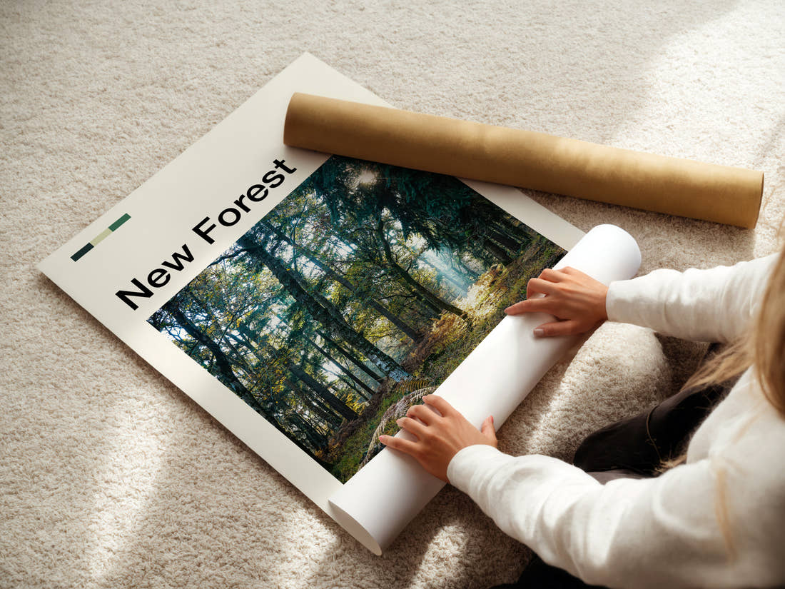 New Forest Sunlit Woodland Glade Travel Print being unrolled from its postal tube