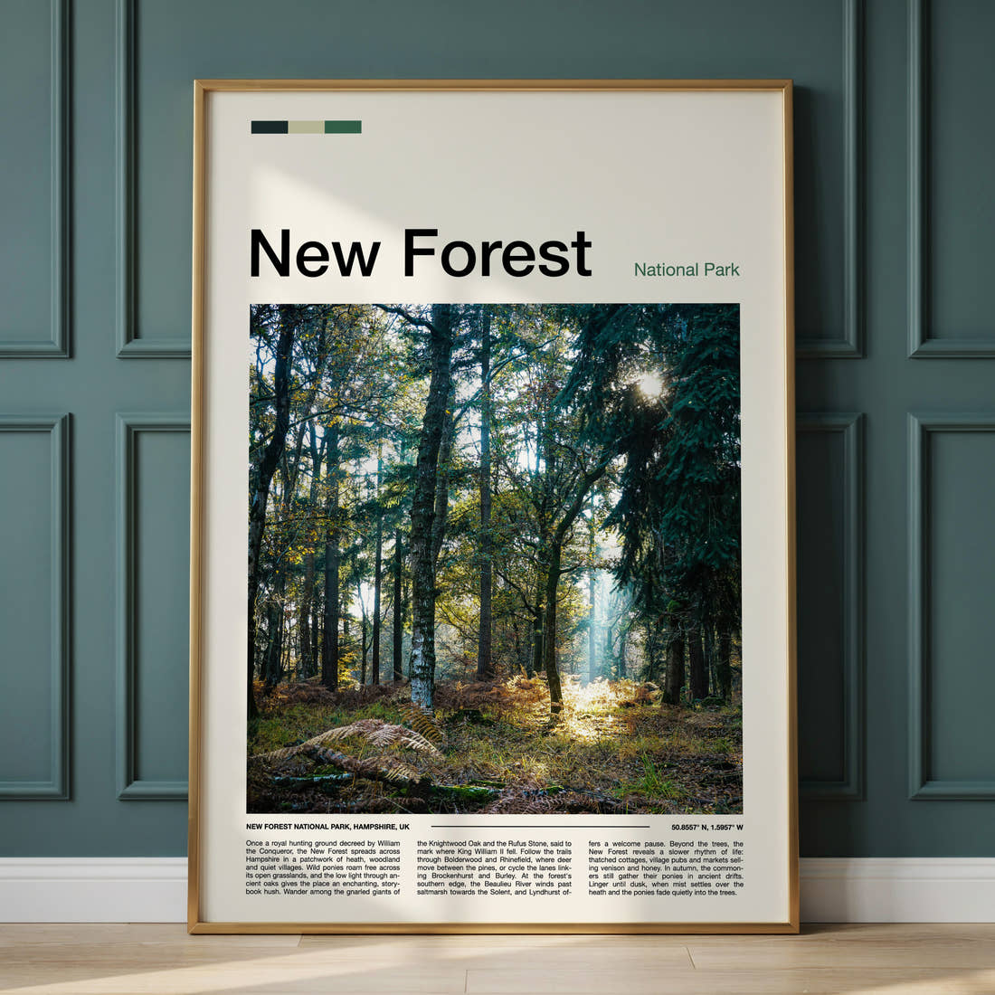 New Forest Sunlit Woodland Glade Travel Print framed on the wall of a calm, neutral bedroom