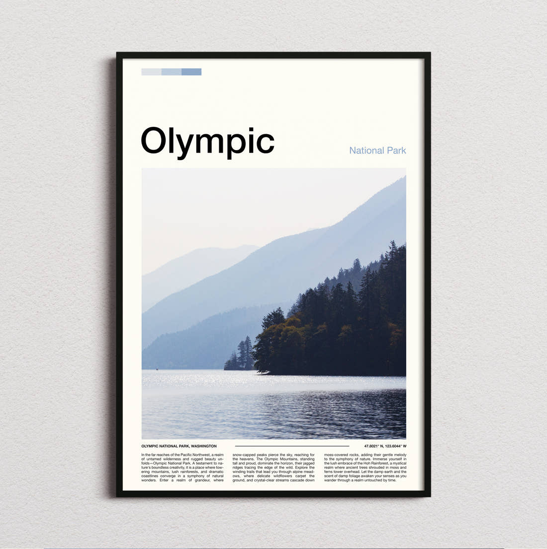Olympic Misty Lake And Hills Travel Print framed and photographed straight on
