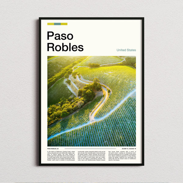 Paso Robles - Vineyard From Above - Travel Print