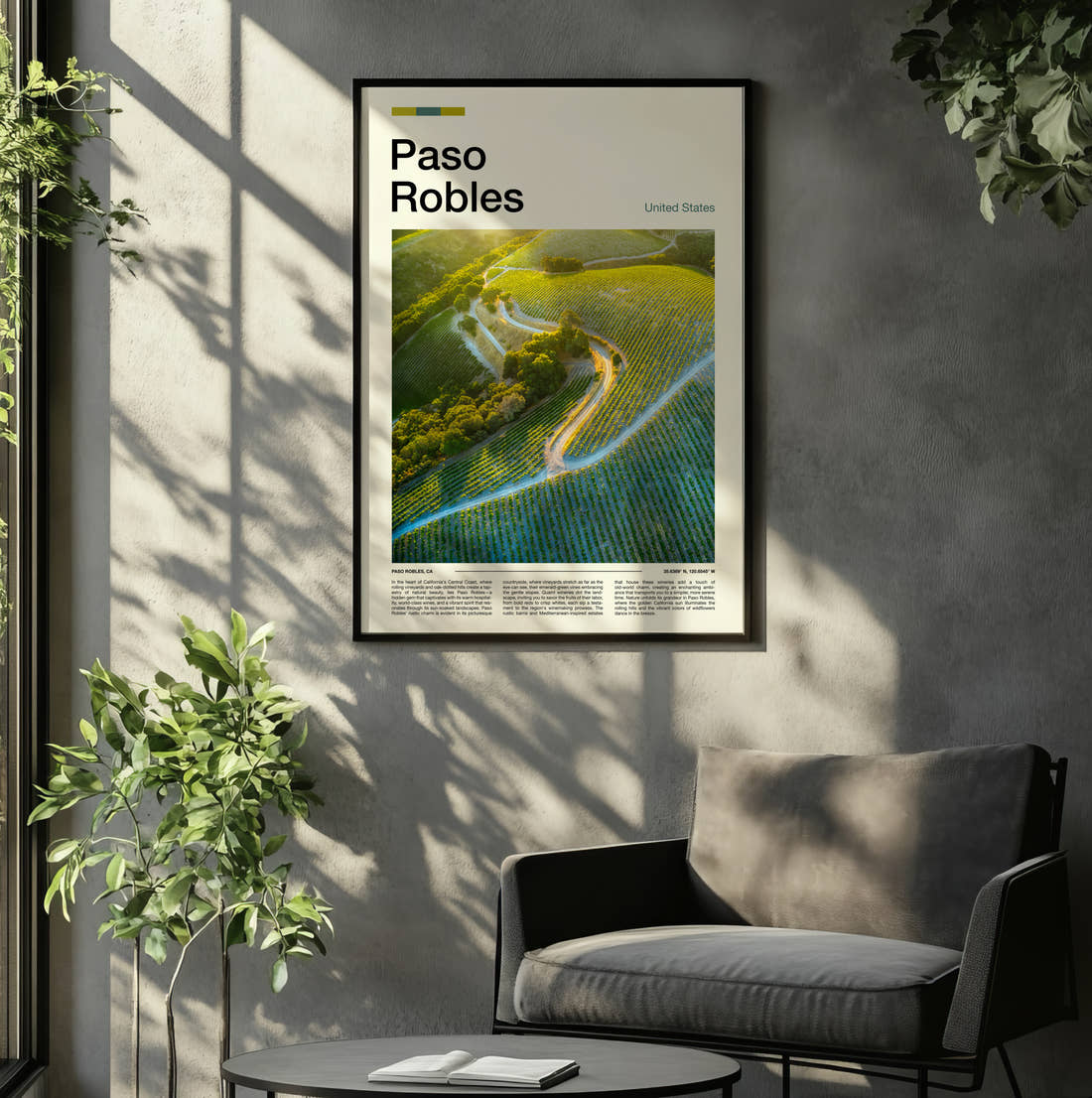 Paso Robles Vineyard From Above Travel Print framed on the wall of a relaxed living room