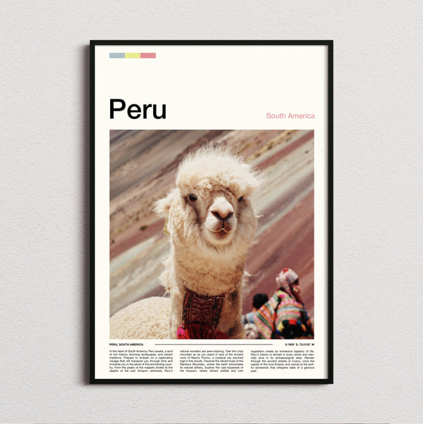 Peru - Llama Close-Up - Travel Print