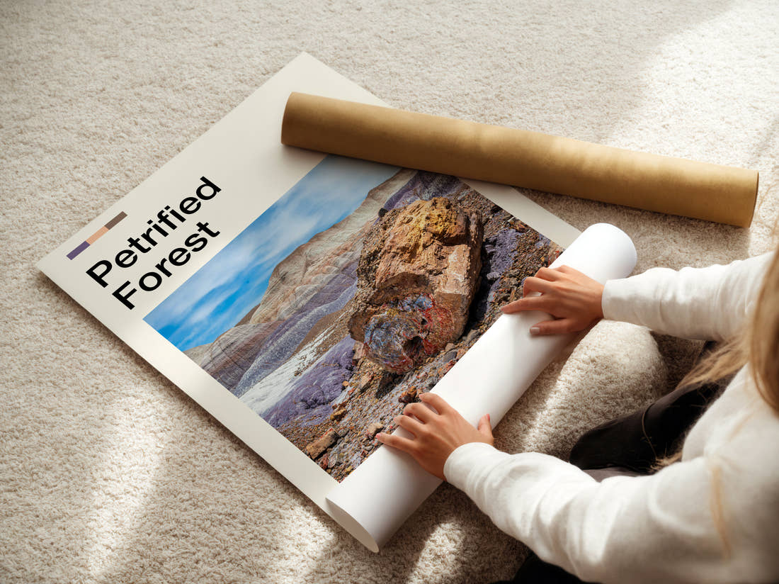 Petrified Forest Petrified Wood Travel Print being unrolled from its postal tube