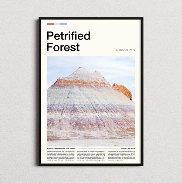 Petrified Forest - Striped Badlands Hill - Travel Print