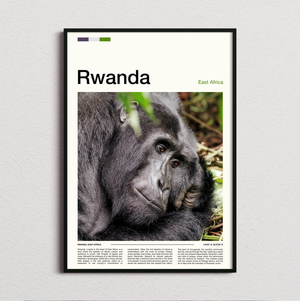 Rwanda - Mountain Gorilla - Travel Print