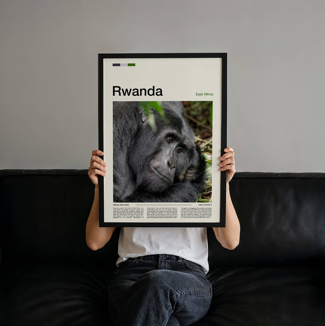 Rwanda Mountain Gorilla Travel Print held up by hand to show the size of the print