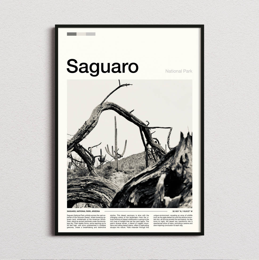 Saguaro Fallen Tree And Cacti Travel Print framed and photographed straight on