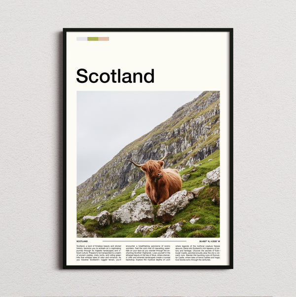 Scotland - Highland Cow - Travel Print