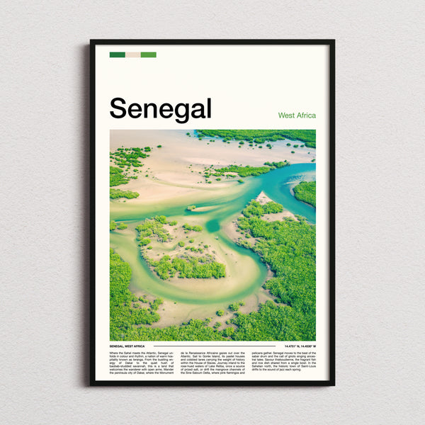 Senegal Aerial Delta View Travel Print framed and photographed straight on