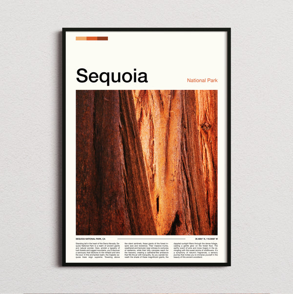 Sequoia - Red Tree Bark - Travel Print