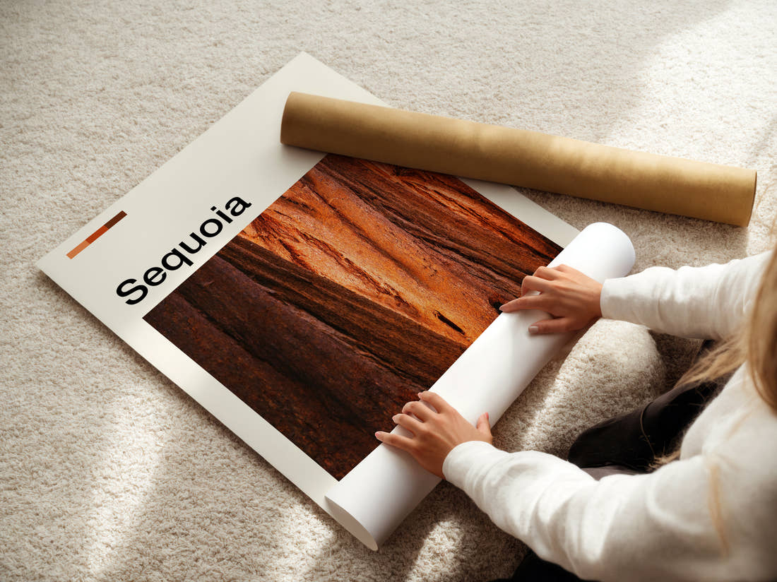 Sequoia Red Tree Bark Travel Print being unrolled from its postal tube