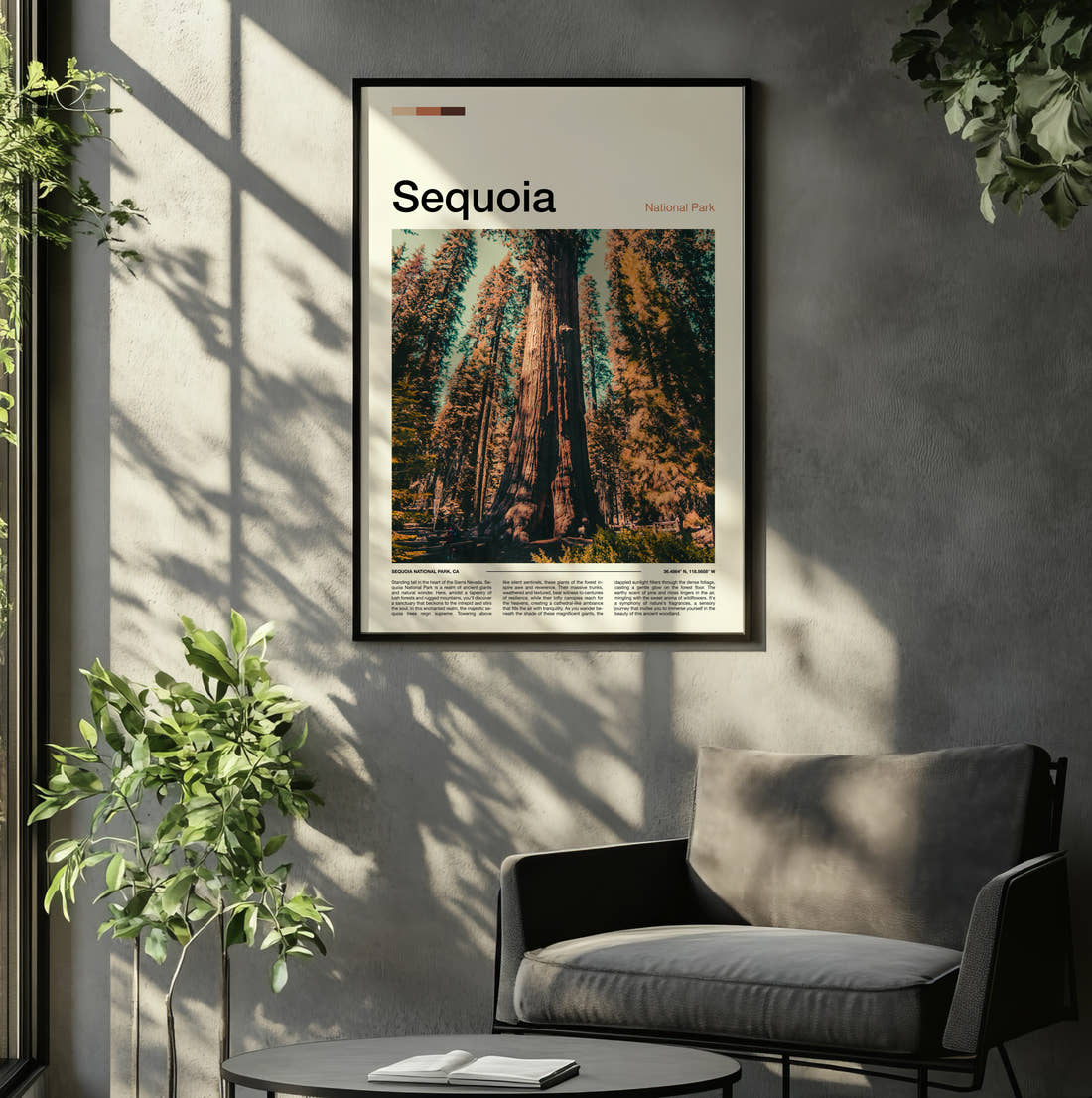 Sequoia Giant Redwood Trees Travel Print framed on the wall of a relaxed living room