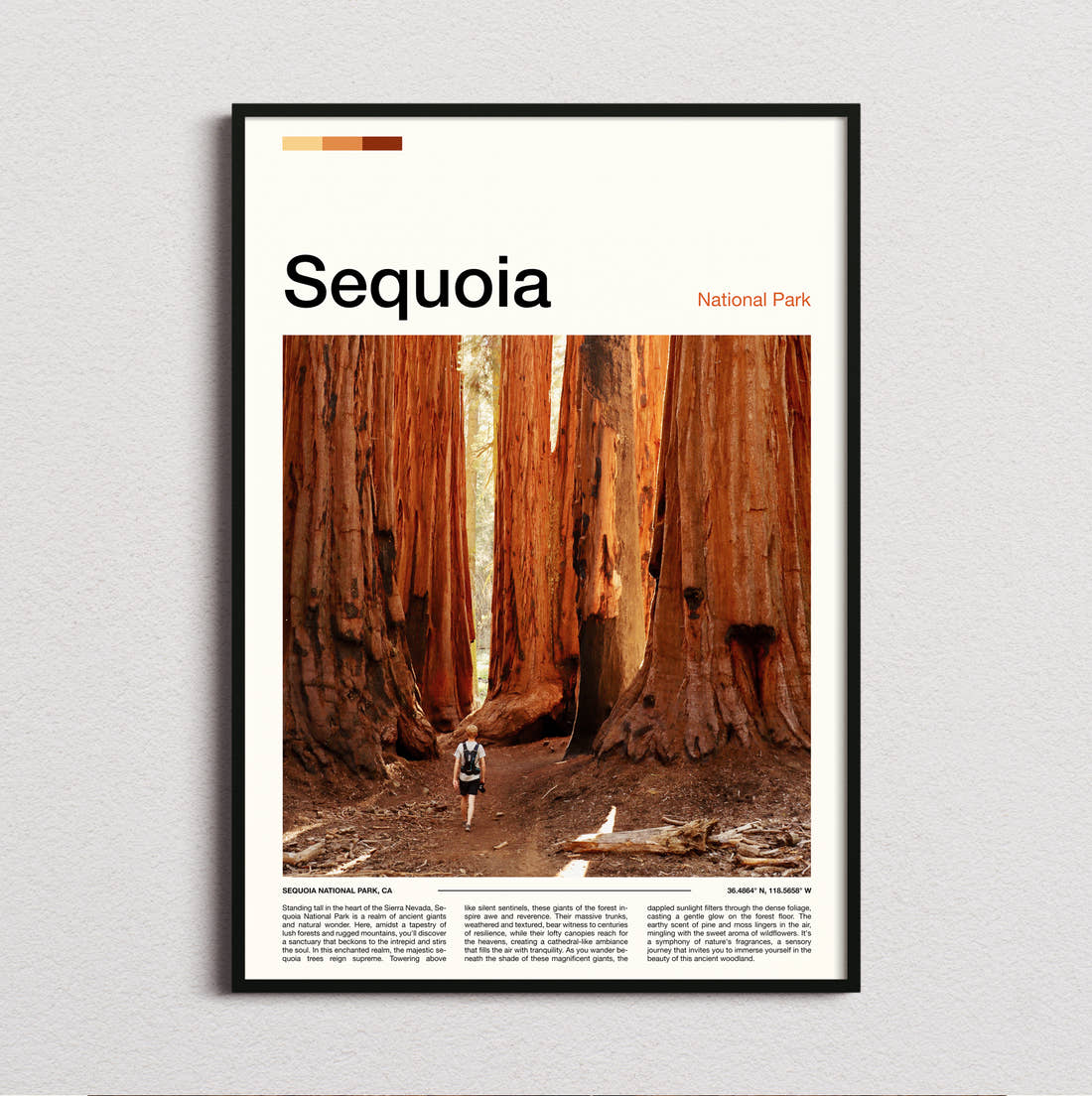 Sequoia Giant Redwood Trunks Travel Print framed and photographed straight on