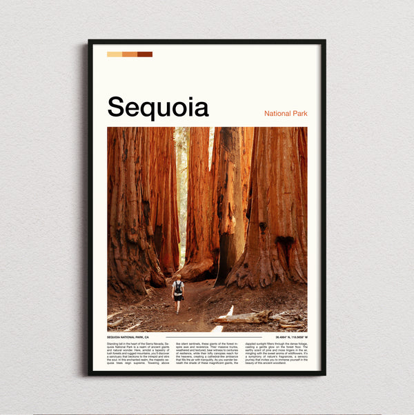 Sequoia - Giant Redwood Trunks - Travel Print
