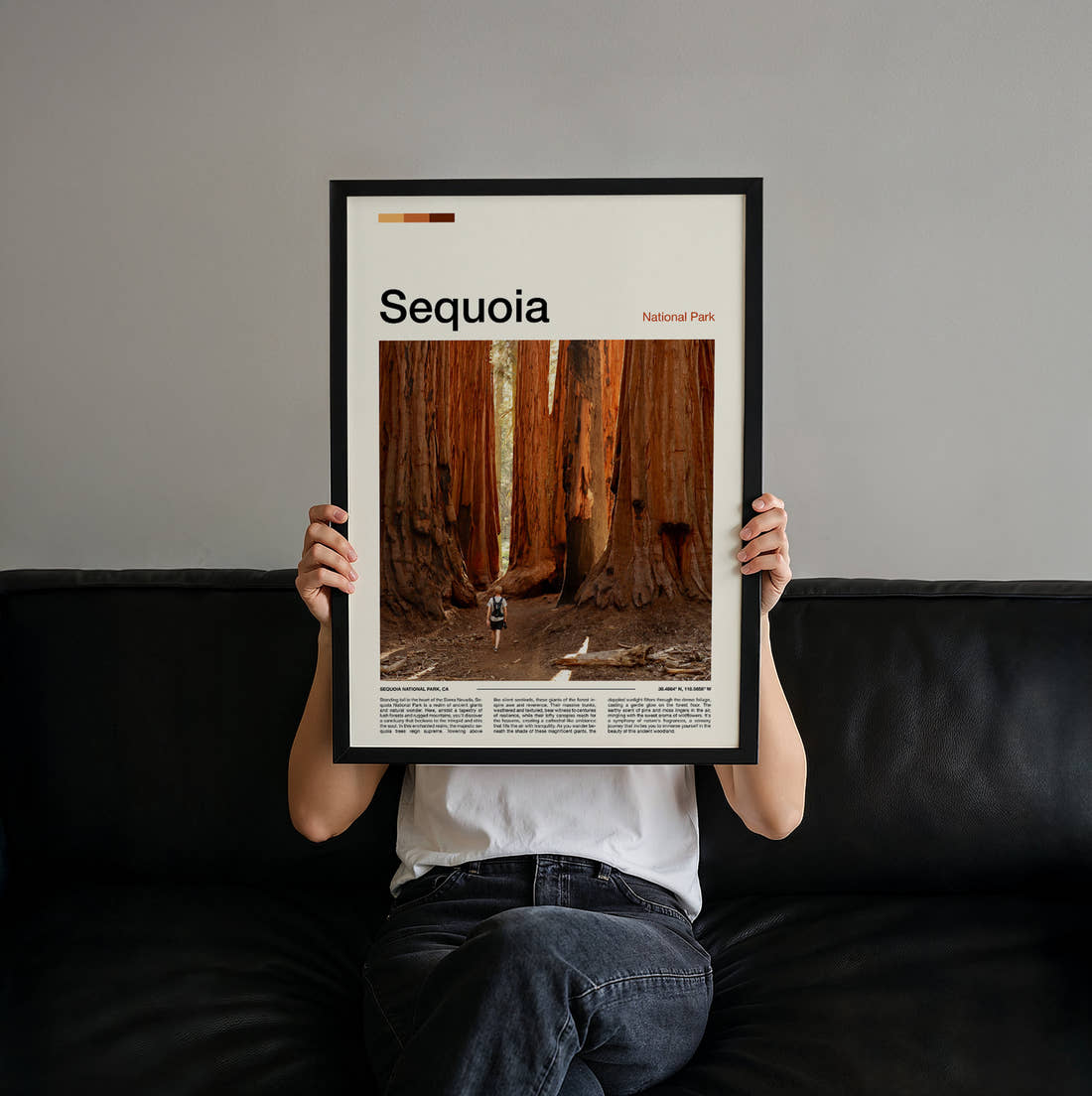 Sequoia Giant Redwood Trunks Travel Print held up by hand to show the size of the print