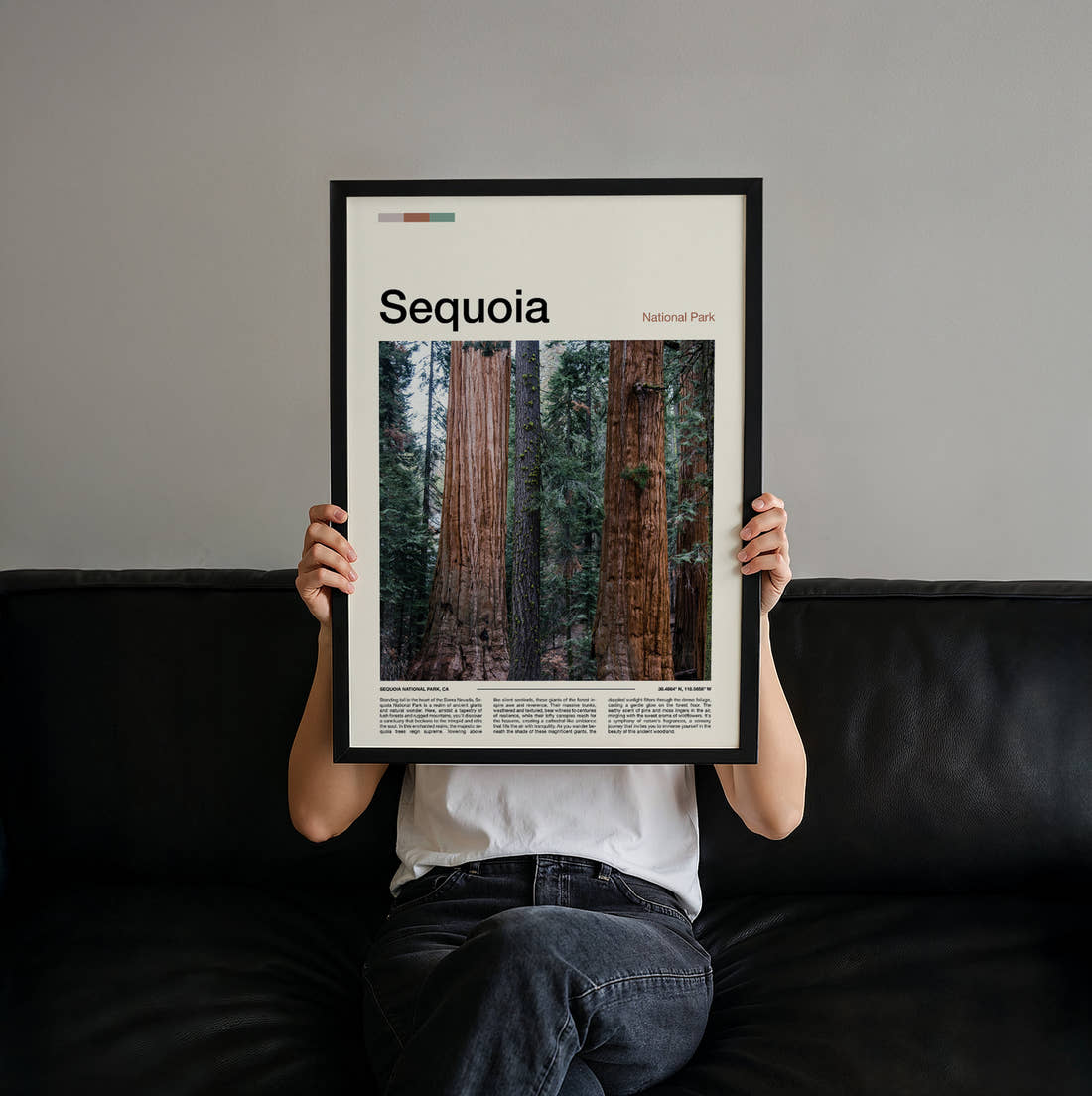 Sequoia Towering Tree Trunks Travel Print held up by hand to show the size of the print