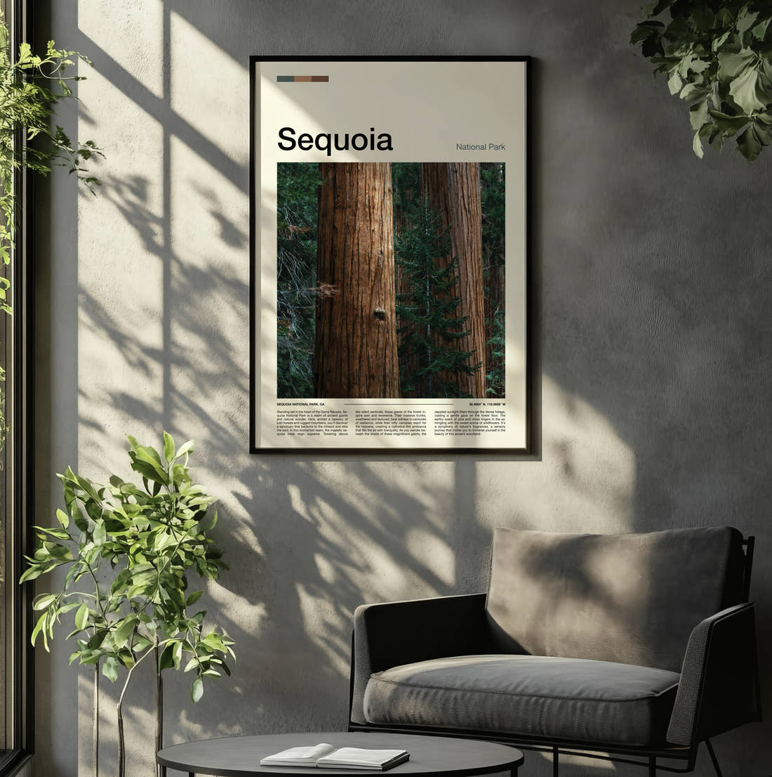 Sequoia Redwood Forest Travel Print framed on the wall of a relaxed living room