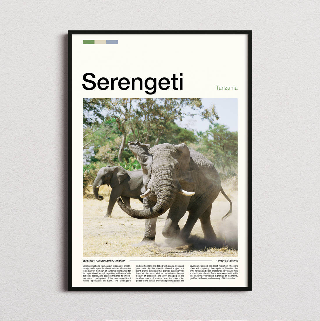Serengeti Elephants Sparring Travel Print framed and photographed straight on