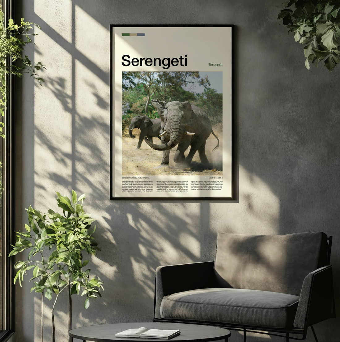 Serengeti Elephants Sparring Travel Print framed on the wall of a relaxed living room