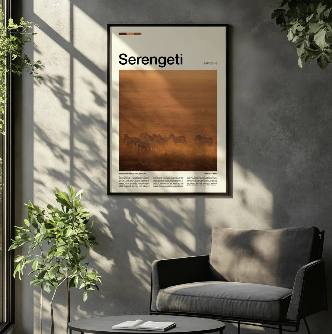 Serengeti Zebras In Dust Travel Print framed on the wall of a relaxed living room