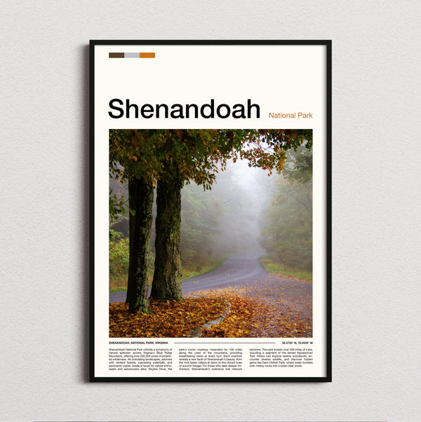 Shenandoah - Misty Forest Road - Travel Print