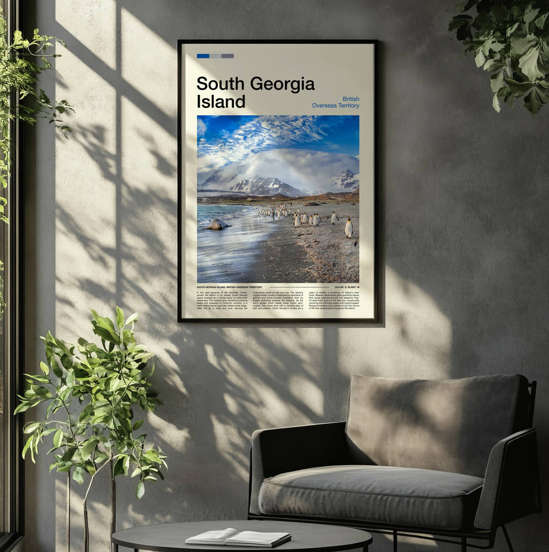 South Georgia Penguins On The Beach Travel Print framed on the wall of a relaxed living room