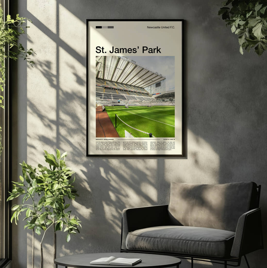 St James Park Stadium Print framed on the wall of a relaxed living room